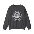 Radical Left Agenda Political Sweatshirt,Equality Justice Climate Rights Long Sleeve,Funny Democrat Liberal Satire Hoodie,Activist Gift