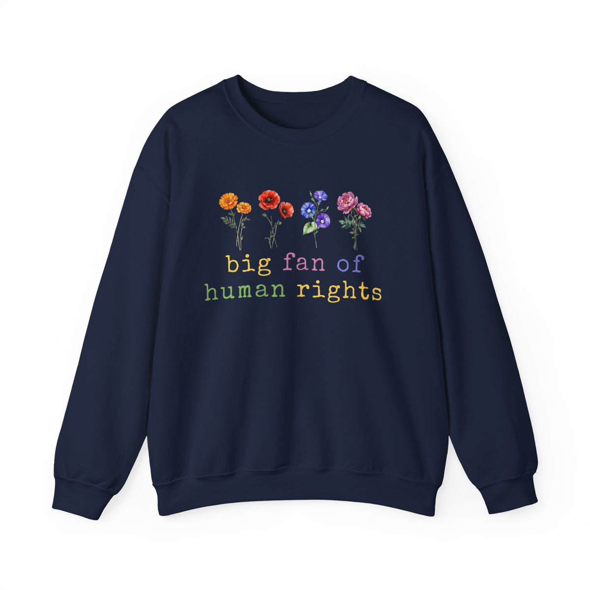 Big Fan Of Human Rights Sweatshirt Equality Long Sleeve, Social Justice Hoodie, Political Protest Shirt,Activist tShirt