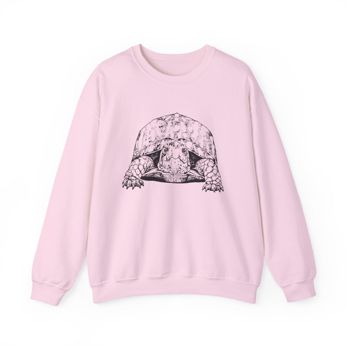 Eastern Box Turtle Shirt, Land Turtle Sweatshirt, Cute Box Turtle Lover Gift, Funny Animal Lover Gift, Box Turtle Animal Tshirt