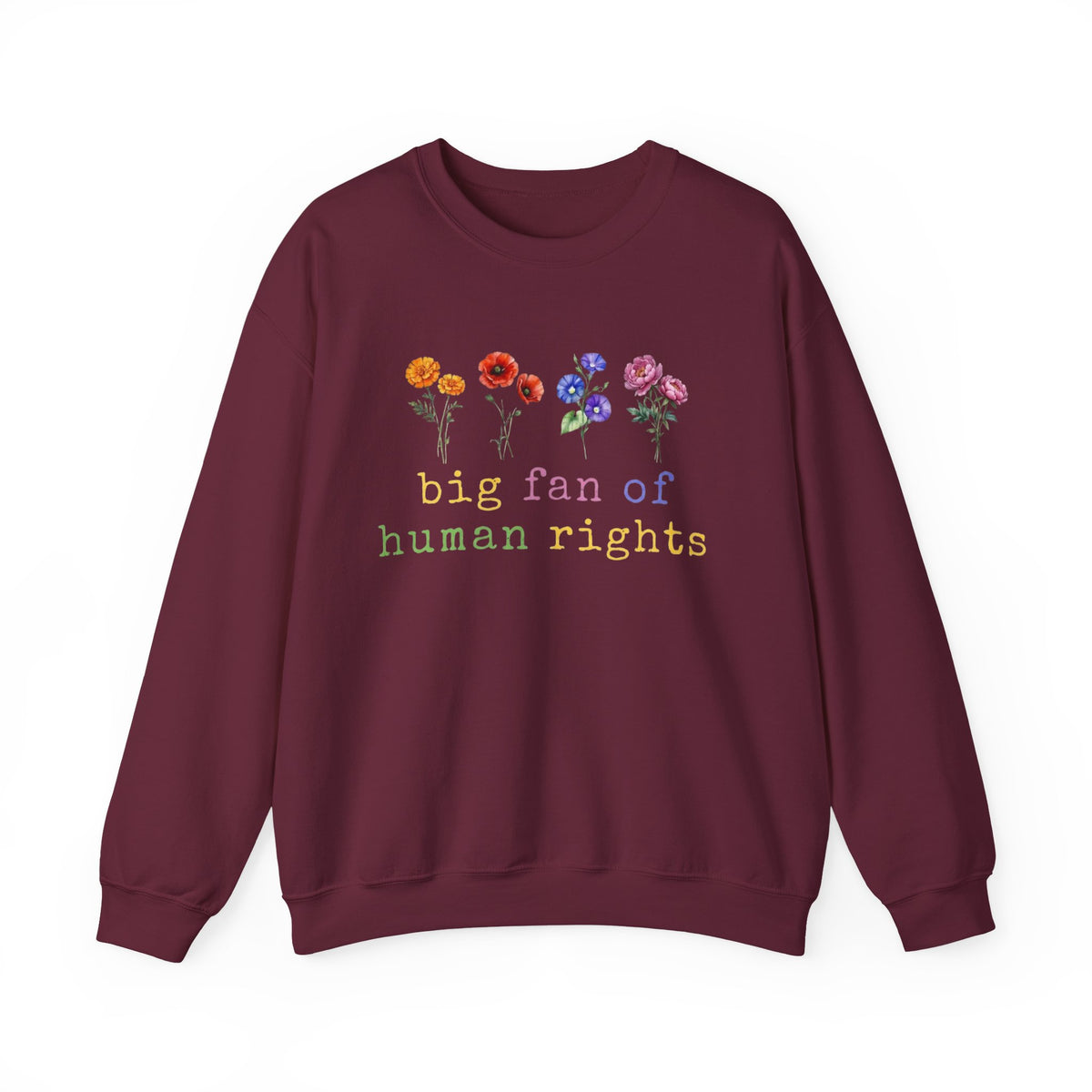 Big Fan Of Human Rights Sweatshirt Equality Long Sleeve, Social Justice Hoodie, Political Protest Shirt,Activist tShirt