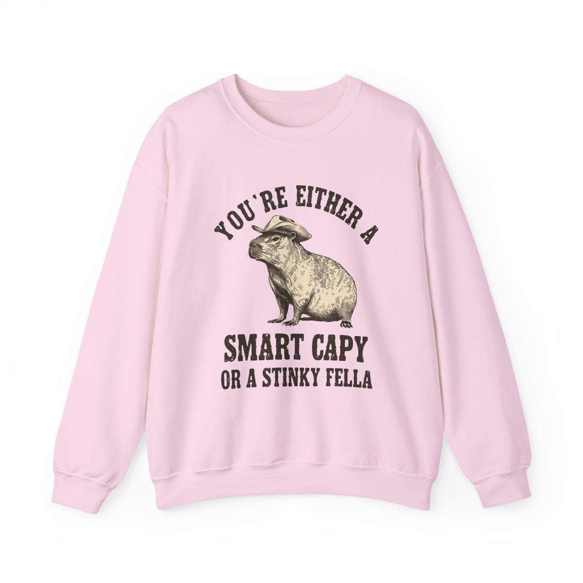 Retro Funny Smart Fella Capybara Vintage T-shirt, Vintage Valentine Sweatshirt