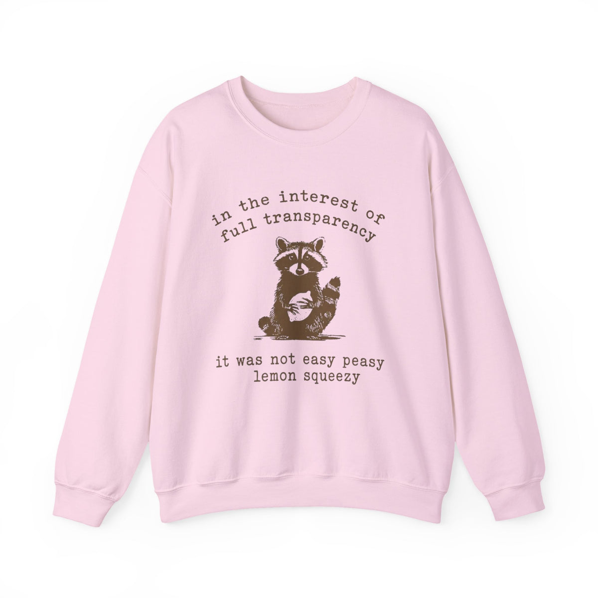 Funny Raccoon Sweatshirt, Sarcastic Graphic Hoodie, 90s Retro Style