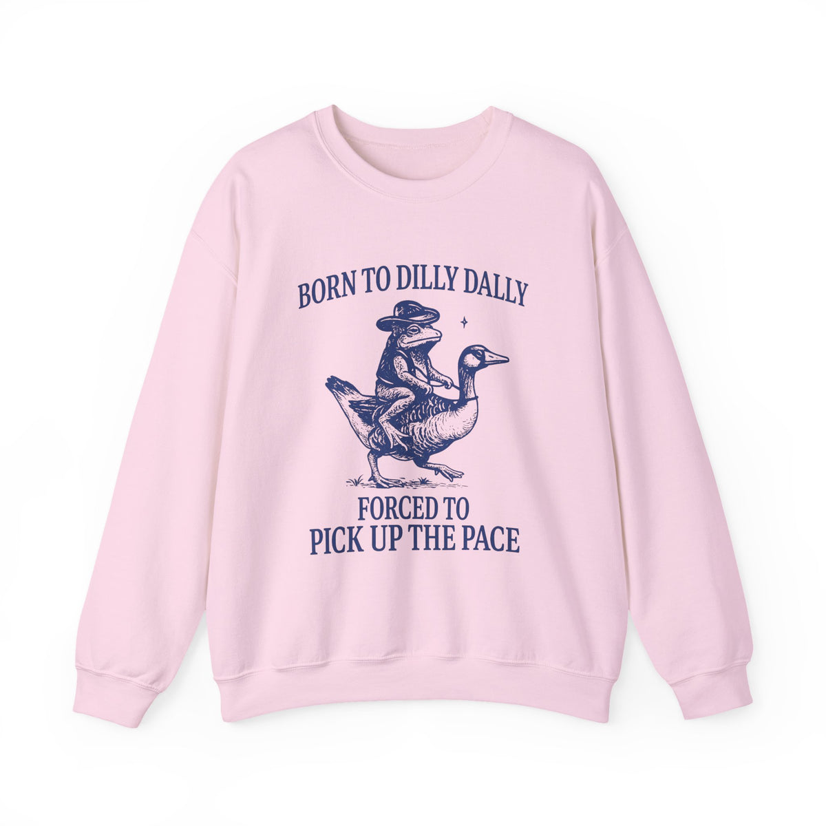 Born To Dilly Dally Forced To Pick Up The Pace Goose Raccoon Sweatshirt, Cute Animal Lover, Funny Animal Shirt, Animal Humor T Shirt