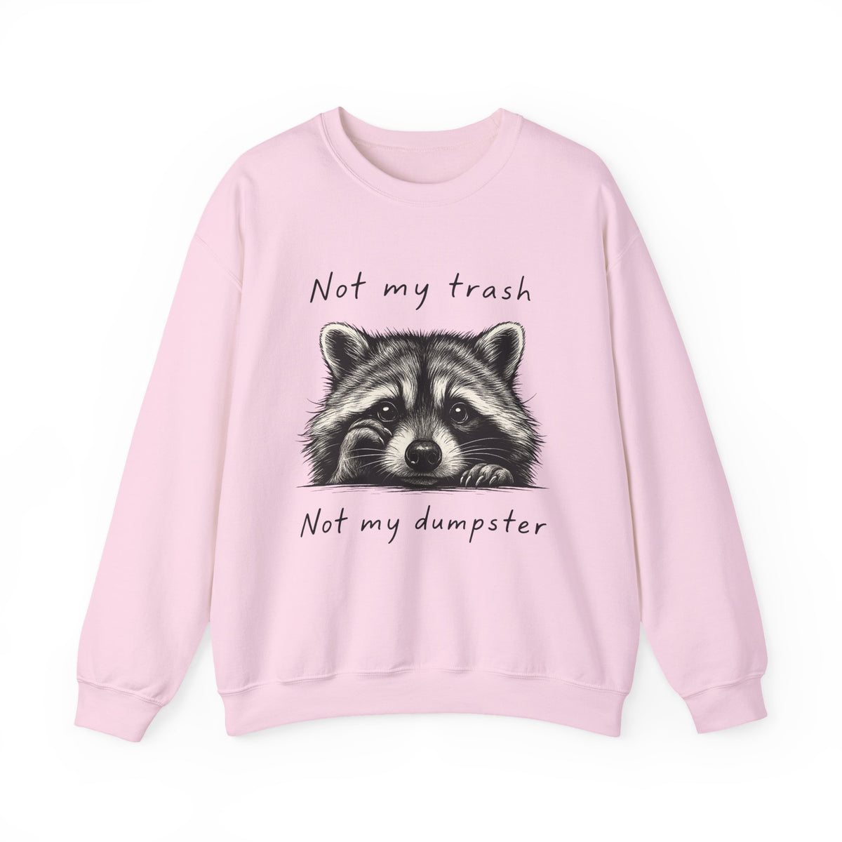 Not My Trash Not My Dumpster Sweatshirt, Mental Health Shirt, Cute Funny Sayings T Shirt, Cute Baby Raccoon Shirt, Trashy Raccoon Shirt