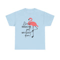 Funny Flamingo T-shirt, Don't Make Me Put My Foot Down Flamingo Shirt, Sarcastic Women Sweatshirt, Flamingo Lover Gift, Cute Flamingo Tee