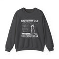 Schrödinger's Cat Sweatshirt, Funny Physics Science Tee