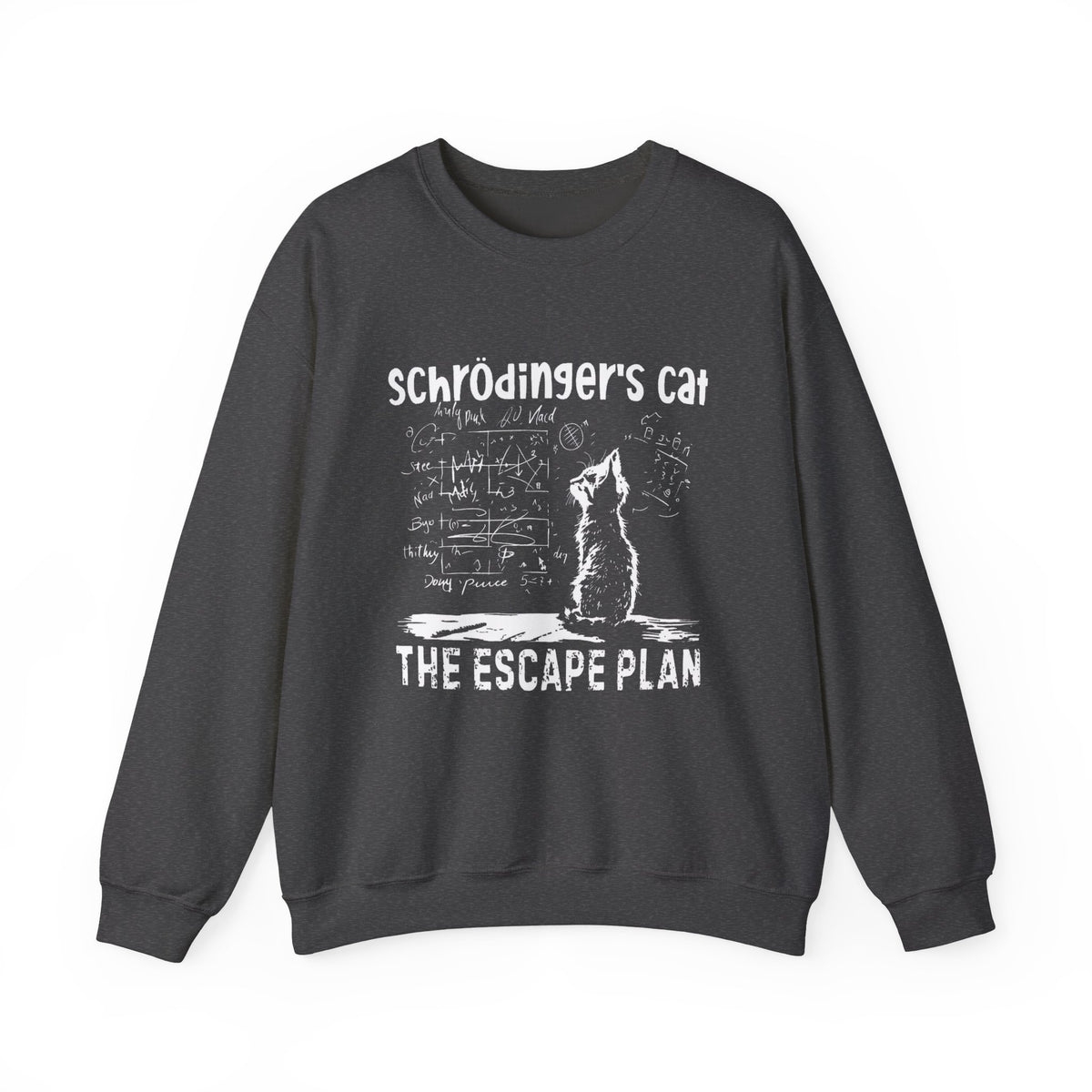 Schrödinger's Cat Sweatshirt, Funny Physics Science Tee