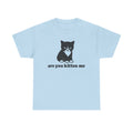 Funny Cat Meme Shirt, Are You Kitten Me, Vintage Cat Shirt, Oversize, Womens, Mens