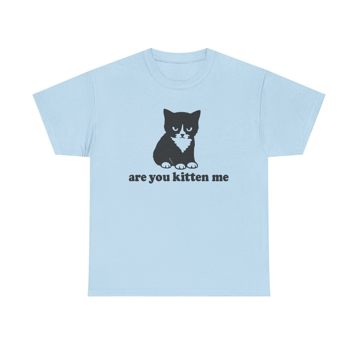 Funny Cat Meme Shirt, Are You Kitten Me, Vintage Cat Shirt, Oversize, Womens, Mens