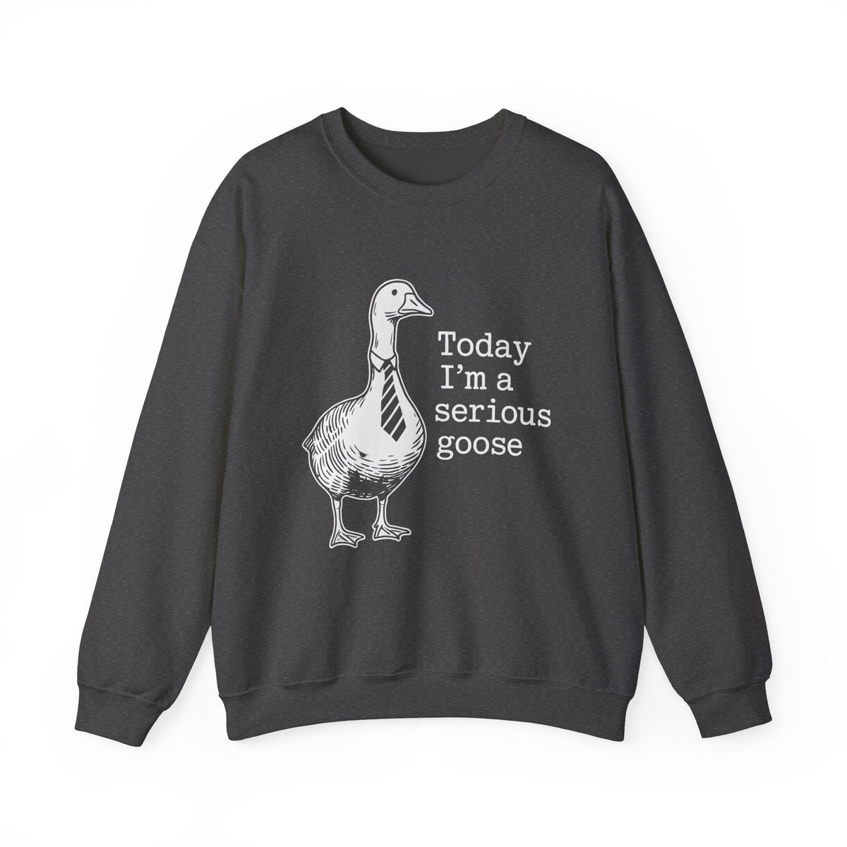 Funny Shirt, Today I'm a Serious Goose Tshirt, Funny Silly Shirt, Funny Goose Shirt, Goose Lover Shirt, Meme Tshirt, Gag Tee