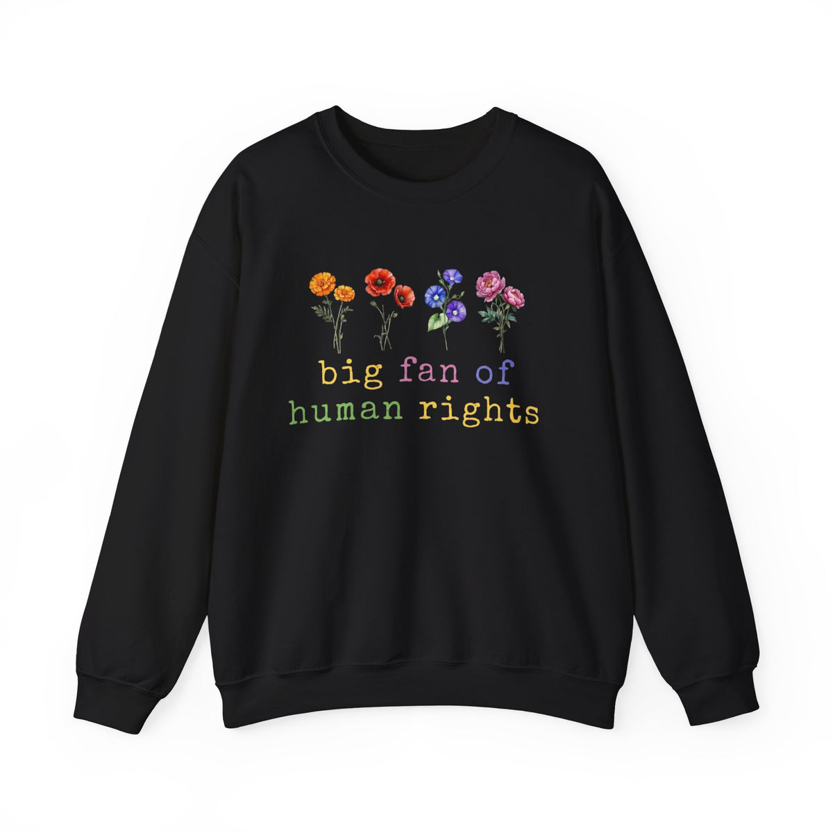 Big Fan Of Human Rights Sweatshirt Equality Long Sleeve, Social Justice Hoodie, Political Protest Shirt,Activist tShirt