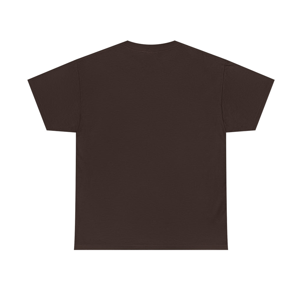 Shirt Indian, Shirt Desi, Desi Gift, Funny Desi Tshirt, Funny Indian Shirt, Punjabi shirt, Indian food Tshirt, samosa shirt
