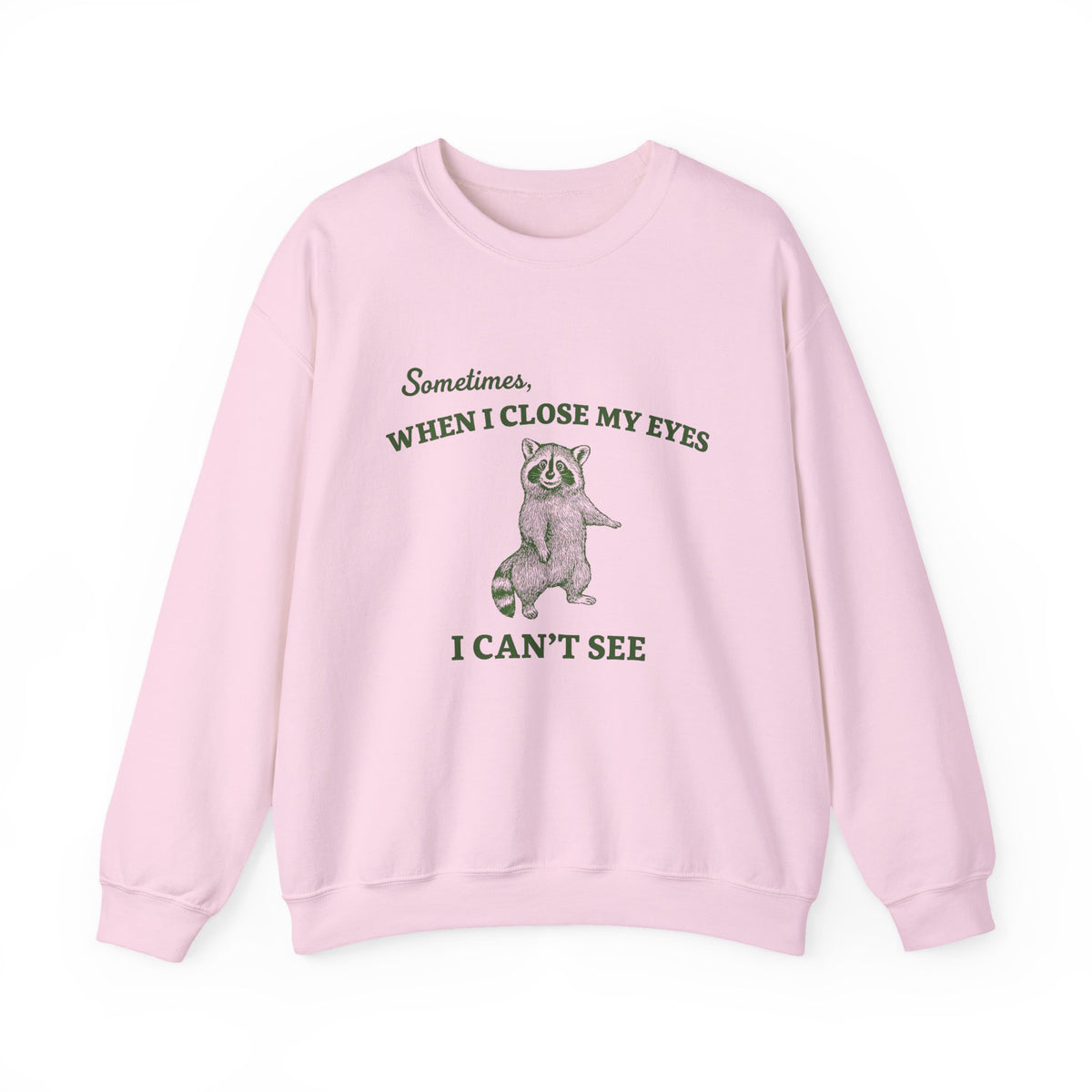 Sometimes When I Close My Eyes I Can't See Sweatshirt, Funny Raccoon T-shirt, Sarcastic Raccoon Gift, Humorous Raccoon Shirt, Meme Crewneck
