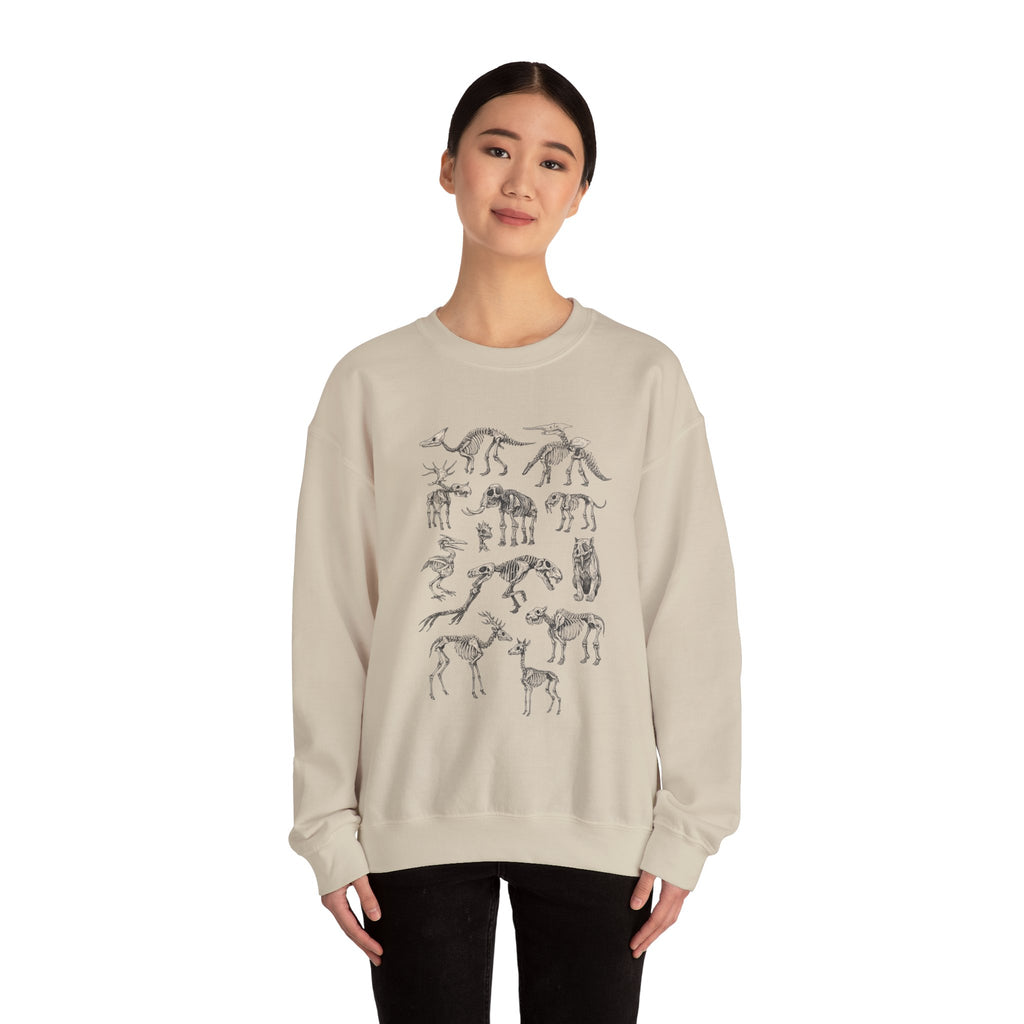 Dinosaur Skeleton Sweatshirt, Dinosaur Gift, Dinosaur Sweatshirt, Gift For Him, Gift For Her, Dinosaur Fossils Sweatshirt, Dinosaur Lover
