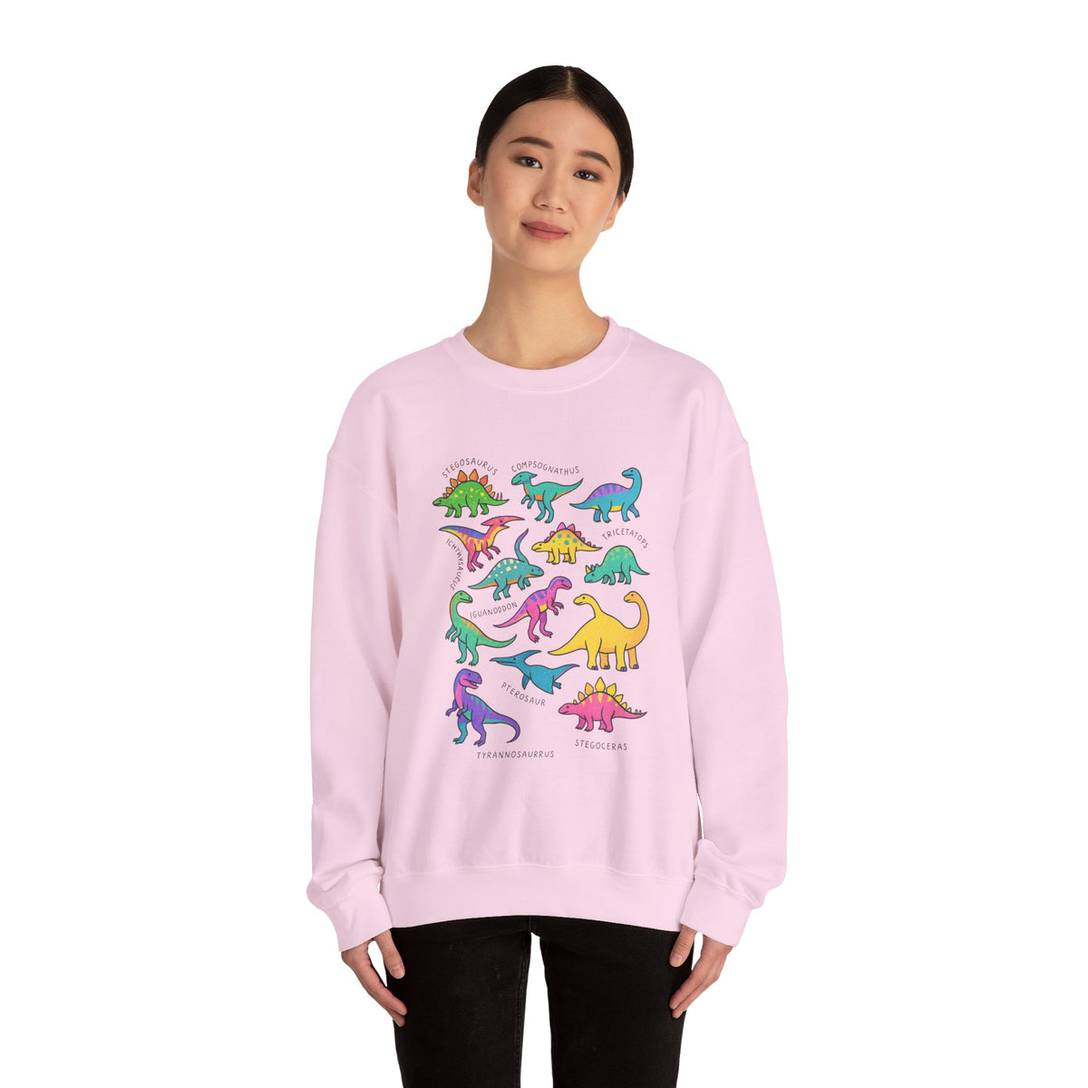 Dinosaur Sweater, Womens Dinosaur Shirt,, Dinosaur Gifts, Dinosaur Birthday Sweatshirt, Women Men Dinosaur Shirt, Dinosaur Clothes