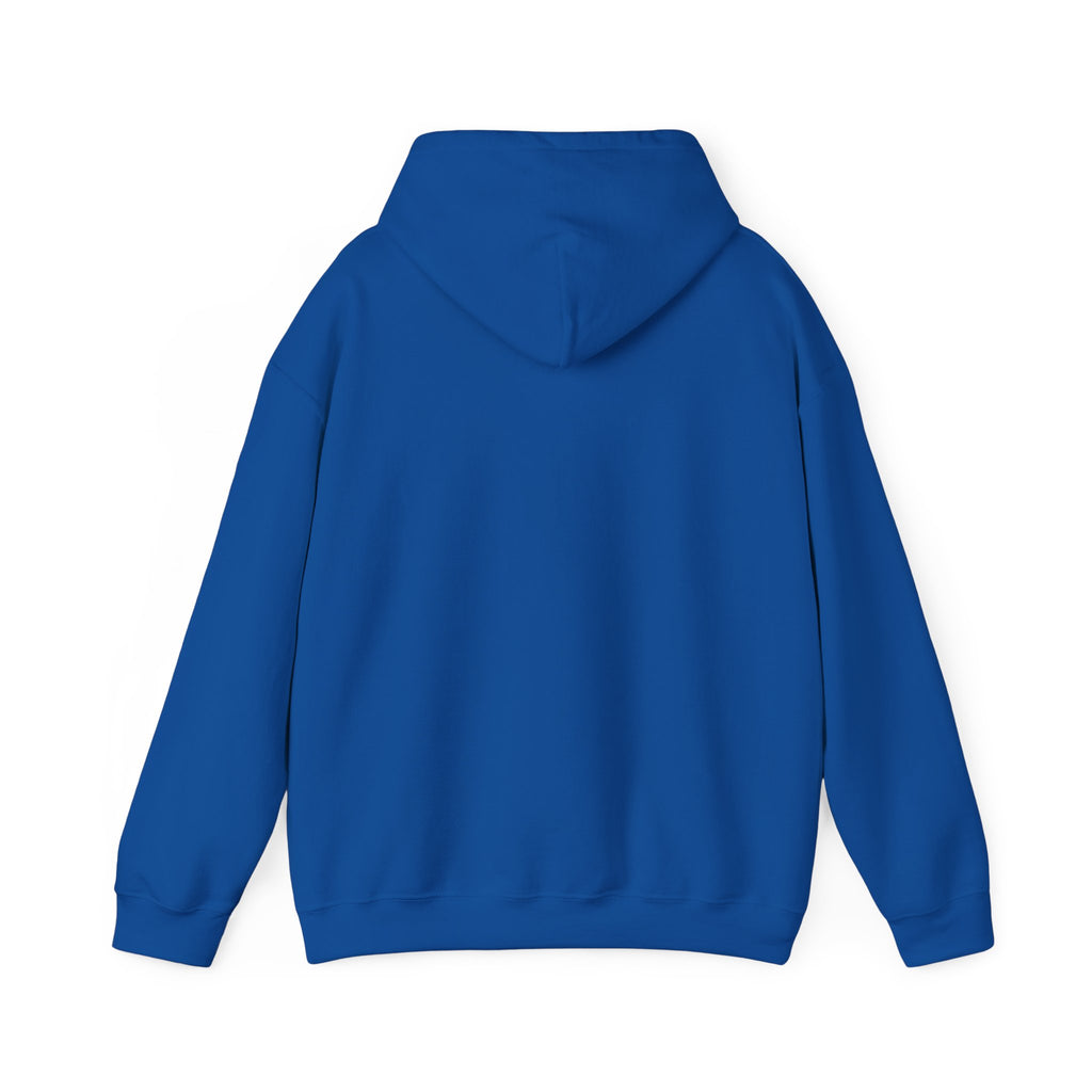 Sunset Sweatshirt - Beach Sweater - Beach Hoodies - Oversized Beachy Crewneck - Coconut Girl Surf Hoodie - Beach Sweatshirt