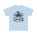 Your little ray of sarcastic sunshine svg, Sarcastic svg, Has arrived svg, funny raccoon svg, sassy raccoon , trendy design sublimation