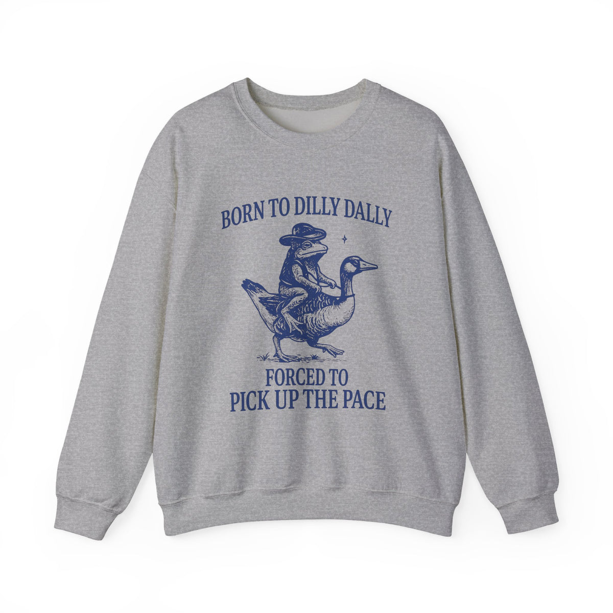 Born To Dilly Dally Forced To Pick Up The Pace Goose Raccoon Sweatshirt, Cute Animal Lover, Funny Animal Shirt, Animal Humor T Shirt