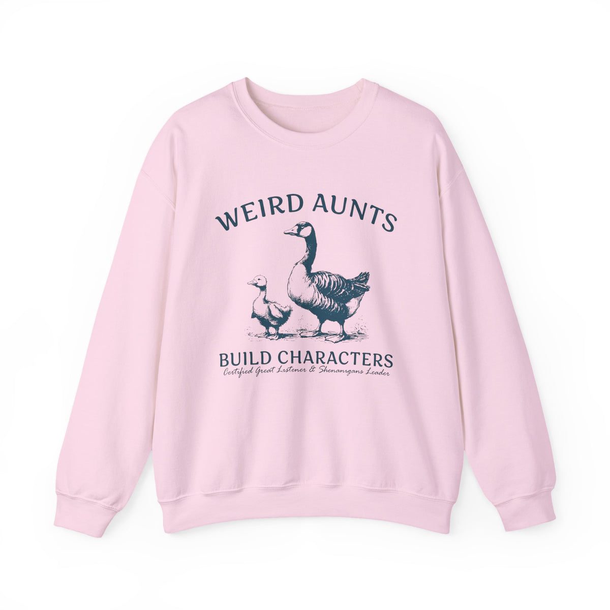 Weird Aunts Build Characters Sweatshirt, Funny Aunt Sweatshirt, Goose and Duck Shirt, Funny Gift for Aunt, Best Aunt Sweater, New Aunt Tee