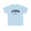 Dachshund Enthusiast T-Shirt: Funny Wiener Dog Lover Apparel