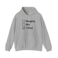 Naughty Nice I Tried Sweatshirt, Naughty Sweater, Naughty Christmas, Naughty Or Nice Hoodie, Naughty List Shirt, Funny Christmas Sweatshirts