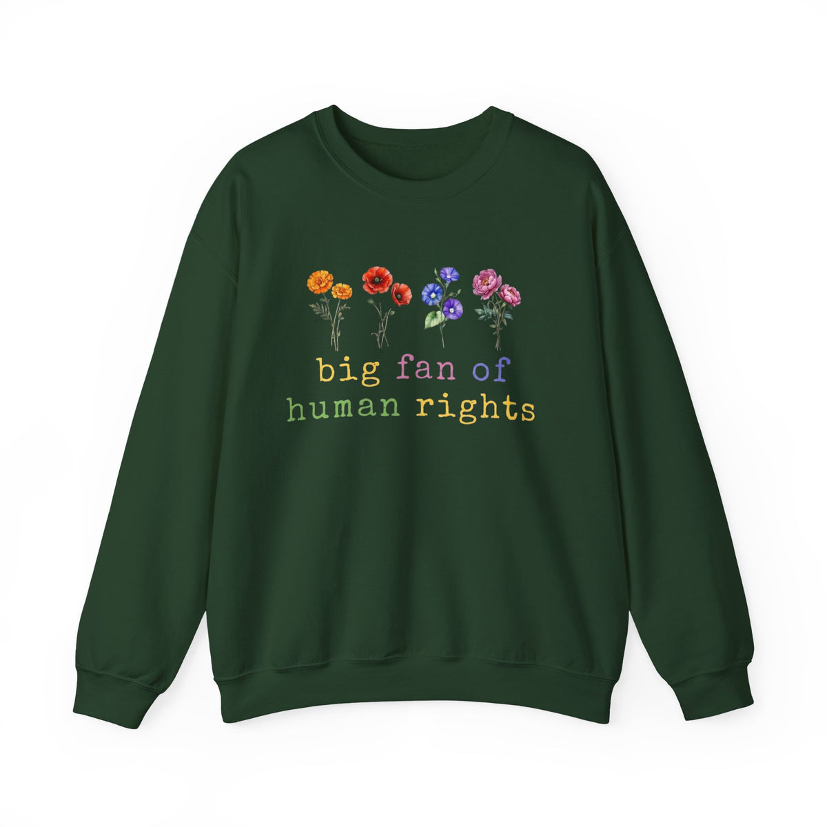 Big Fan Of Human Rights Sweatshirt Equality Long Sleeve, Social Justice Hoodie, Political Protest Shirt,Activist tShirt