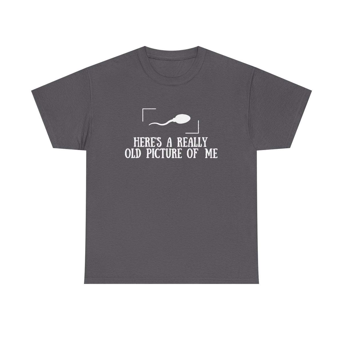 Here's A Really Old Picture Of Me Shirt, Funny Shirt, Funny Sayings Tee, Sarcastic Shirts, Gift For Him, Funny Sperm Shirt, Adult Humor Tee