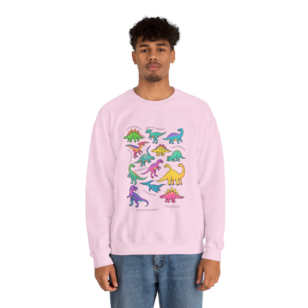 Dinosaur Sweater, Womens Dinosaur Shirt,, Dinosaur Gifts, Dinosaur Birthday Sweatshirt, Women Men Dinosaur Shirt, Dinosaur Clothes